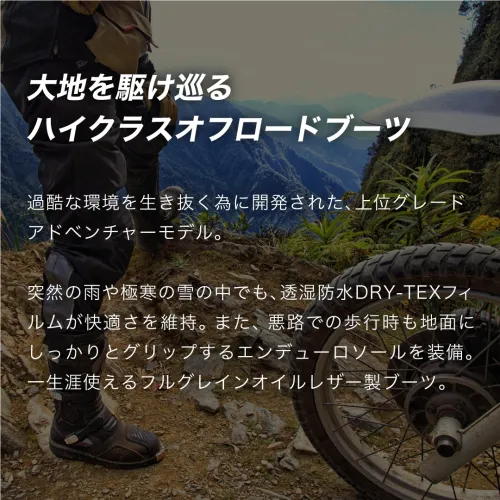 TERRA EVO LOW Dry | Forma｜RIDE-MOTO | OKADA (ライドモト)
